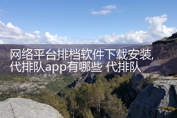 网络平台排档软件下载安装