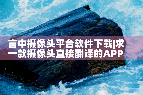 言中摄像头平台软件下载