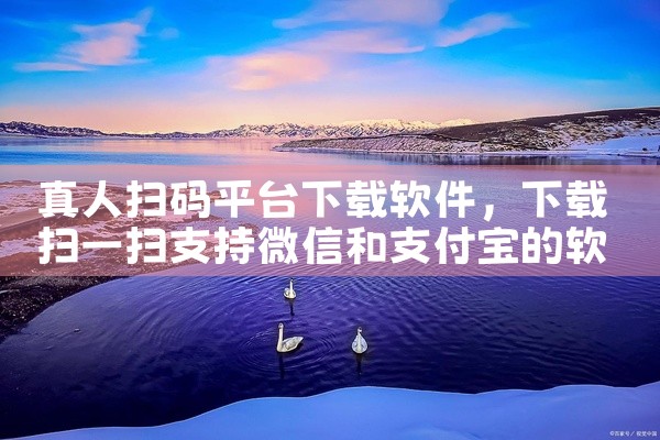真人扫码平台下载软件