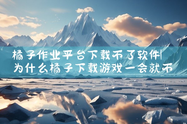 橘子作业平台下载不了软件