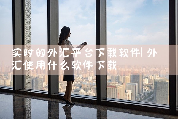 实时的外汇平台下载软件
