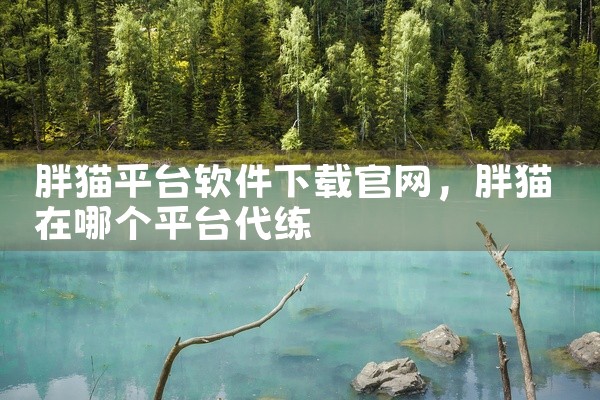 胖猫平台软件下载官网