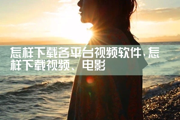 下载各大平台音乐的软件