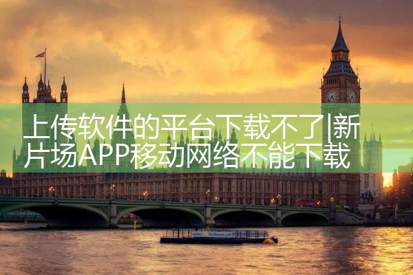 上传软件的平台下载不了