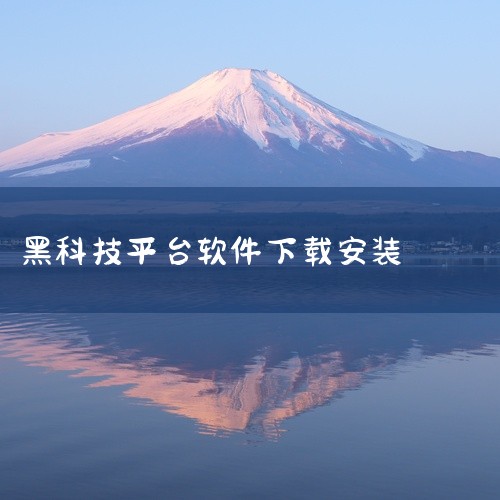 黑科技软件是一款适用于安卓平台的手机应用程序,安装便捷,使用简单。应用整体设计风格统一,视觉体验舒适,交互逻辑符合用户使用习惯。核心功能完善,能够满足目标用户群体的主要使用需求,运行过程中响应迅速,操,