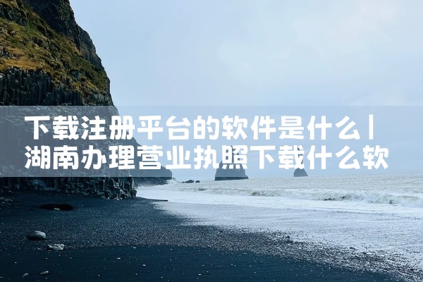 下载注册平台的软件是什么