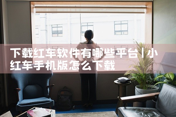 下载红车软件有哪些平台