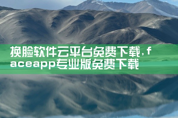 换脸软件云平台免费下载