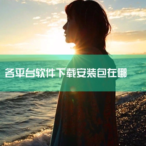1、进入文件管理 > 浏览，在对应的第三方应用文件夹中查找。2、最近下载的文件可进入文件管理 > 最近，在最近页签查看。3、在最近或浏览页签选中对应数据，长按点击更多 > 详情可查看对应数据的存储路径|