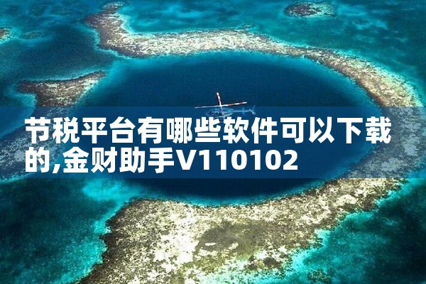 节税平台有哪些软件可以下载的