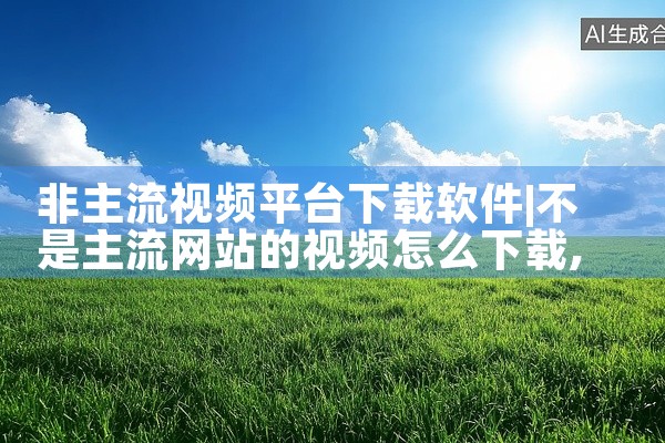 非主流视频平台下载软件
